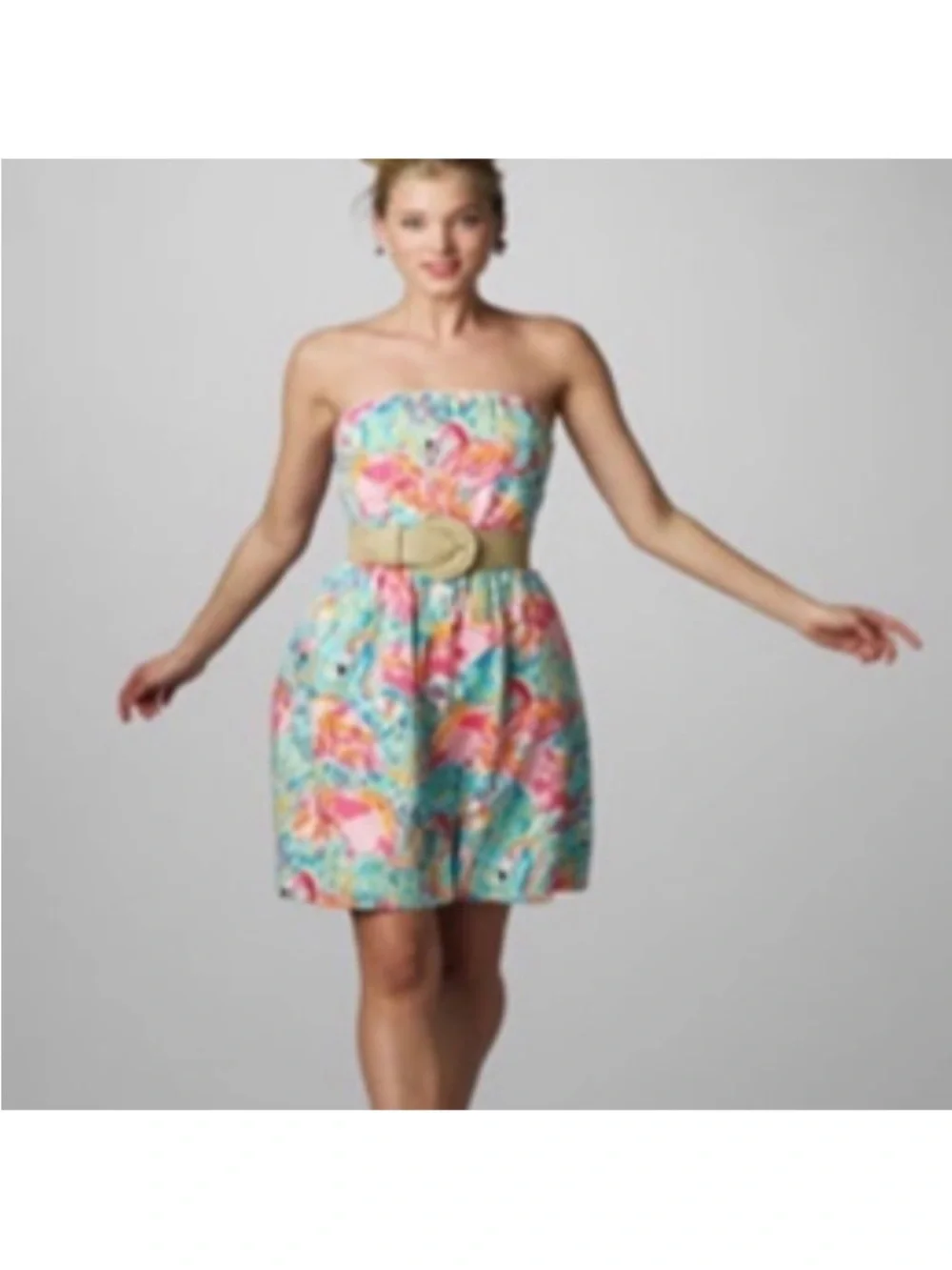 Lilly Pulitzer Wyatt Flamingo Print Dress - Picture 2 of 5